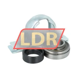 Dodge P2B-SLX-100 rulman resim 2
