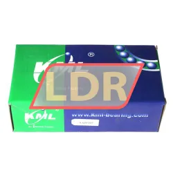 Keep Moving Long SAPP207 rulman resim 4