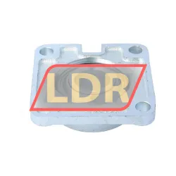 FKL LEFG207TDT rulman resim 3