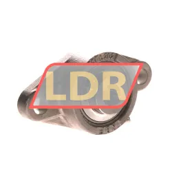 LDI SSUCFL202