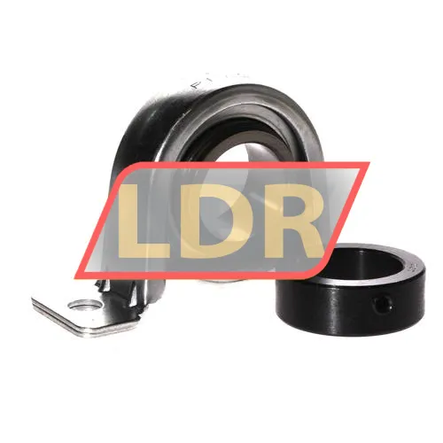 TR SAPP207