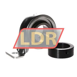 TR SAPP207