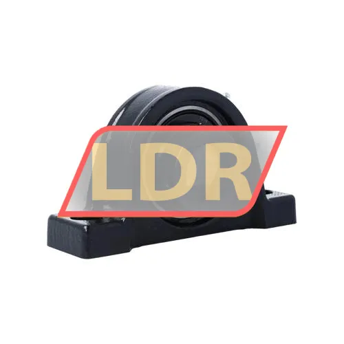 Rexnord P3Y224N