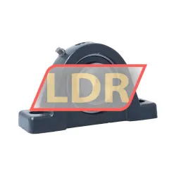 Keep Moving Long UCPE209 rulman resim 2