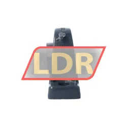 Keep Moving Long UCPE209 rulman resim 3