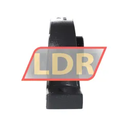 INA RASEY60-XL-N-I rulman resim 2