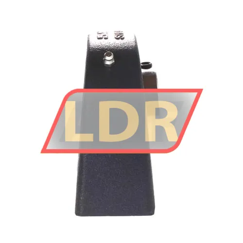 SKF SYF50FM ürün fotoğrafı 2