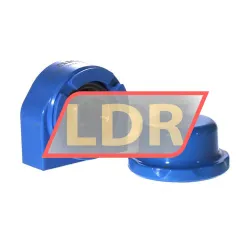 SKF P2BTC25M-CPSS-DFH