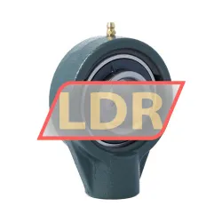 NSK UCHB207D1 AS3S rulman resim 2
