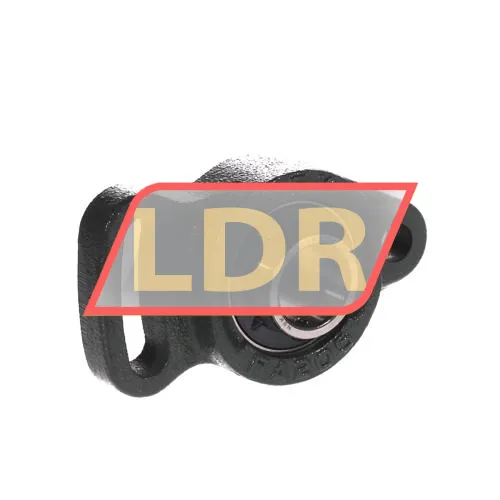 NSK UCFA205D1