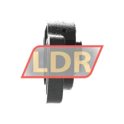 NSK UCFA205D1 rulman resim 2