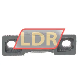 NTN UCP205 rulman resim 4