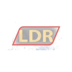 SNR ESFE206 rulman resim 2