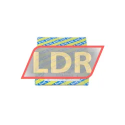 SNR ESFE206 rulman resim 3