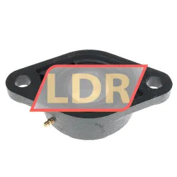 NSK UKFL209D1 rulman resim 2