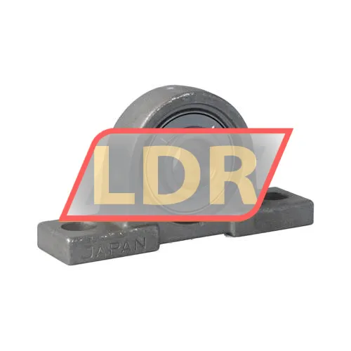 NSK F-UCPM204D0/LP99 ürün fotoğrafı 2