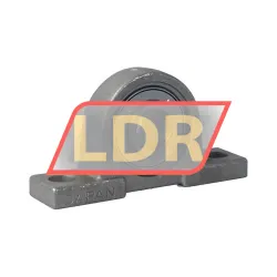 NSK F-UCPM204D0/LP99 rulman resim 2