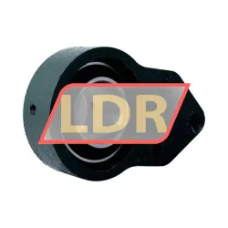 NSK UCFH210D1 rulman resim 3