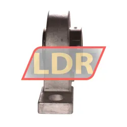 NSK F-UCPM209D0/LP99 rulman resim 2