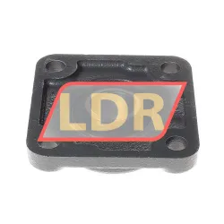 NSK UCF205D1 rulman resim 2