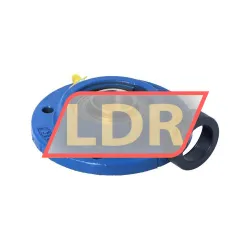 SNR ESFEE206 rulman resim 2