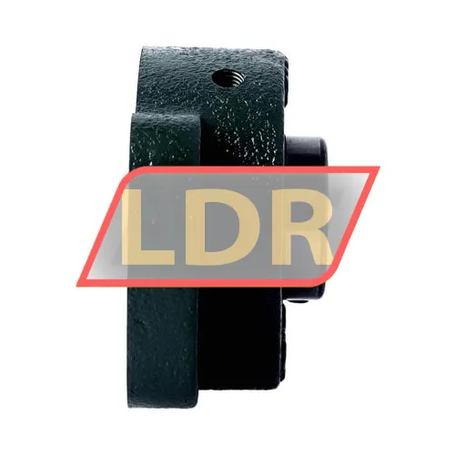 NSK UCFA203D1 ürün fotoğrafı 2