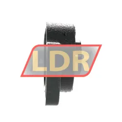 NSK UCFA206D1 rulman resim 2