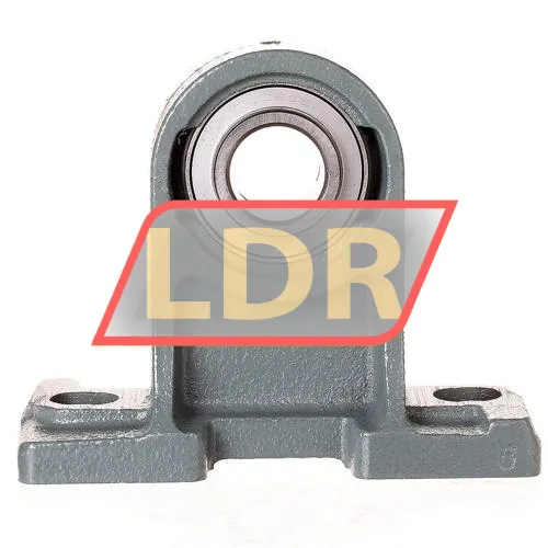 NSK UCPH205 N AV2S ürün fotoğrafı 2