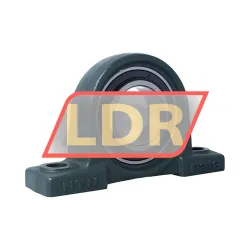 NTN UKP216D1