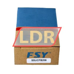 FSY SSUCFB205  (China) rulman resim 4