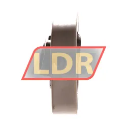 Neutral MBCTL204 rulman resim 2