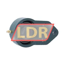 NSK UCFH204D1 AS3S rulman resim 2