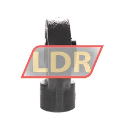 NTN M-UCHB205D1 rulman resim 2