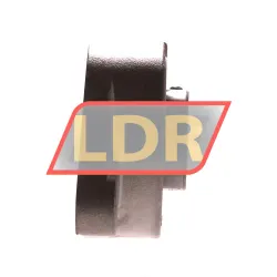 IBU Fiedler SUCFL206 rulman resim 2