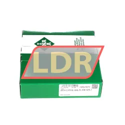 INA GEHCJT06-GG-N-FA125-1 rulman resim 4
