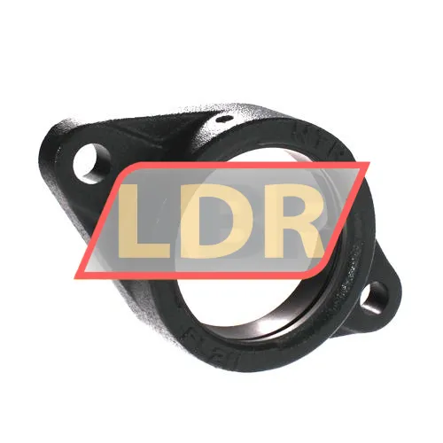 NTN FL211D1