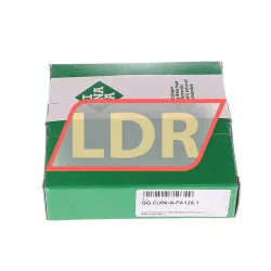 INA GG-CJ06-N-FA125-1 rulman resim 3