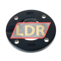RHP FC4