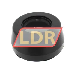 INA KASK07-S-R-NBR-HLA