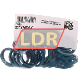 INA G20X26X4-C rulman resim 2