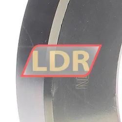 INA SRG-NE100-FA125 rulman resim 3