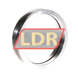 SKF LOR113
