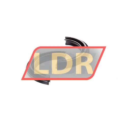 FAG DH209