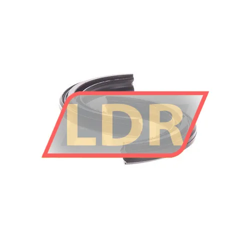 FAG DH208