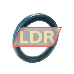 SKF G24X32X4 rulman resim 2