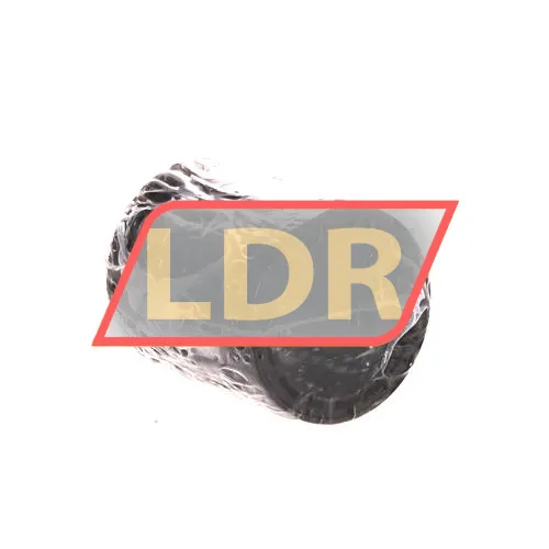 SKF LBBR25