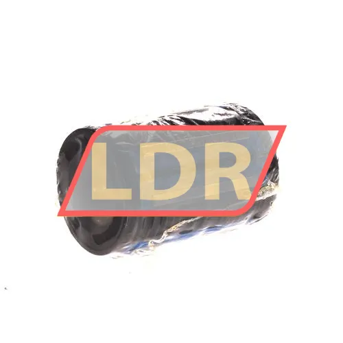 SKF LBCR25A