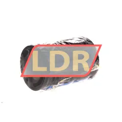 SKF LBCR25A