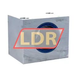 SKF LUER50
