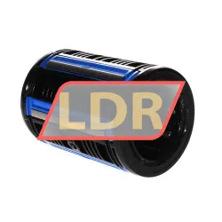 SKF LBCR60-2LS